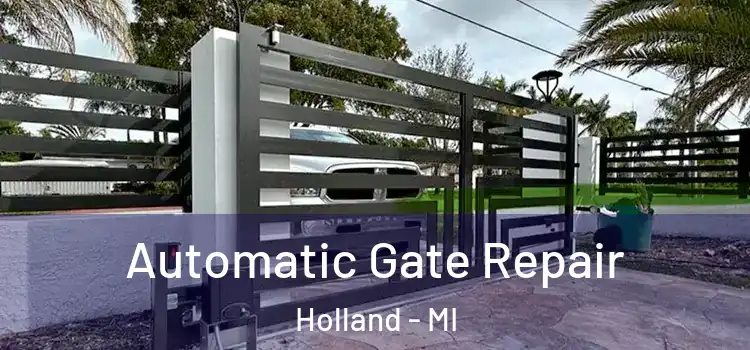 Automatic Gate Repair Holland - MI