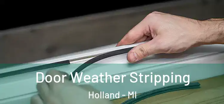 Door Weather Stripping Holland - MI