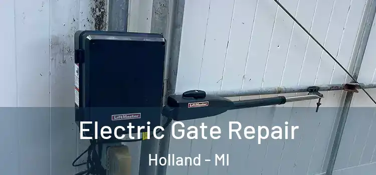 Electric Gate Repair Holland - MI
