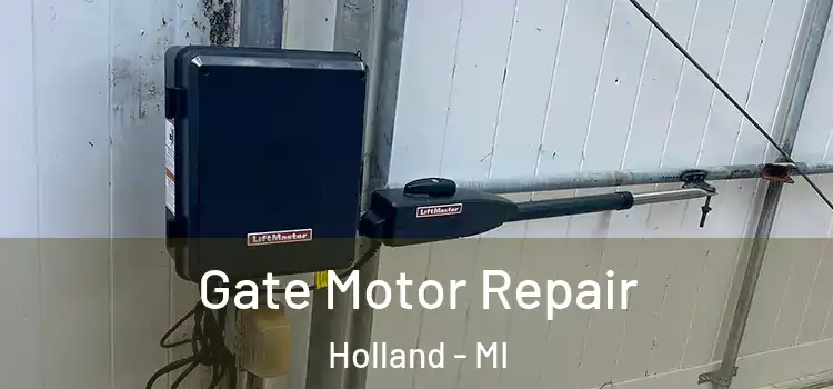 Gate Motor Repair Holland - MI