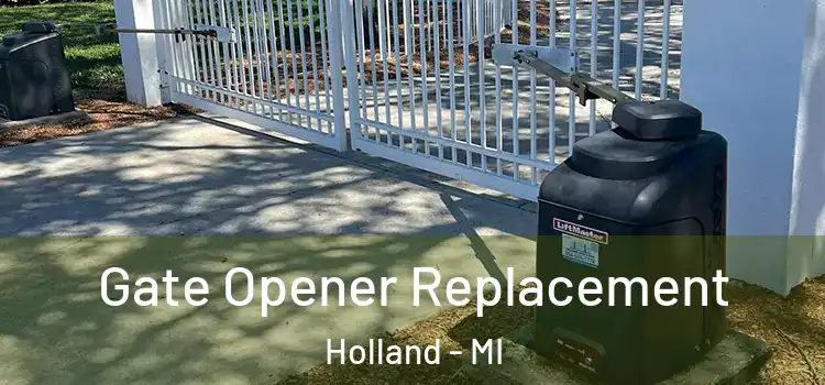 Gate Opener Replacement Holland - MI