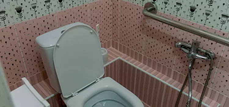 Meeting Diverse Needs With Accessible Restroom Solutions in Holland, MI