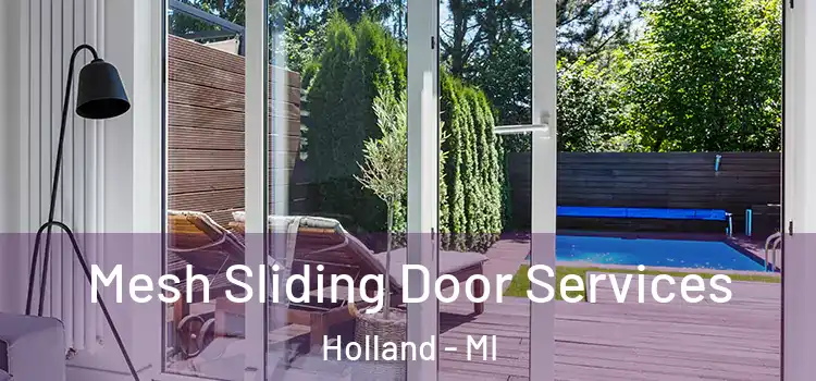 Mesh Sliding Door Services Holland - MI